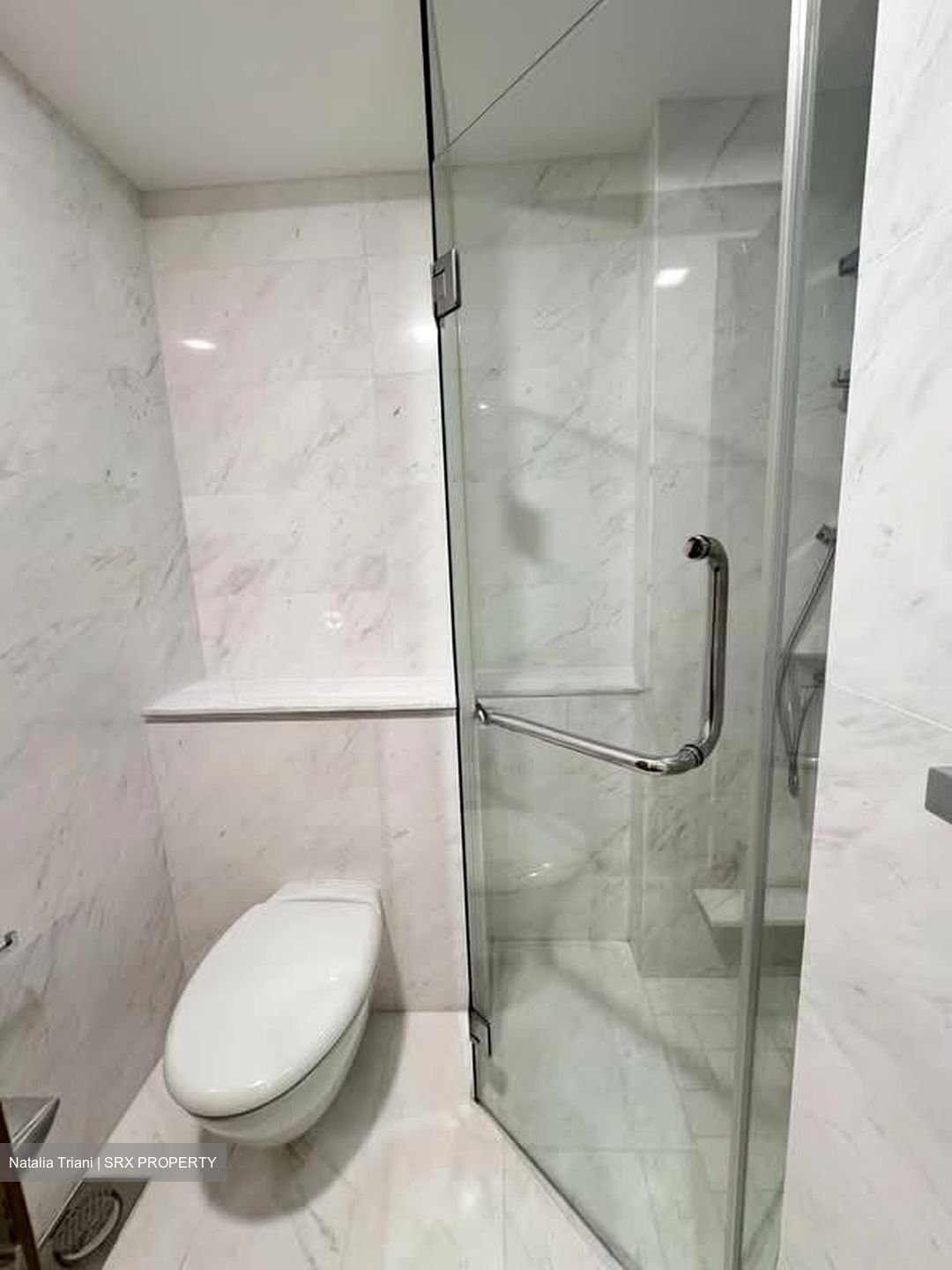 Suites At Orchard (D9), Apartment #583939871